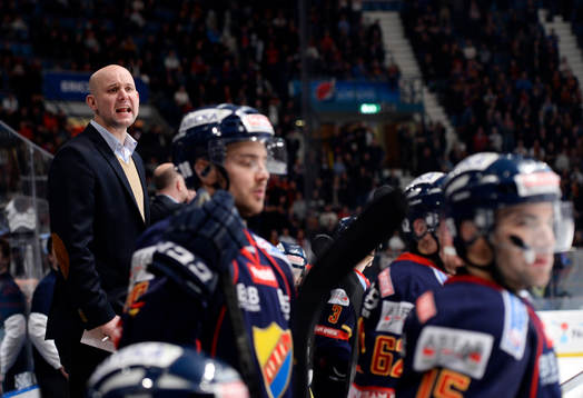 Djurgårdens tränare Tony Zabel
