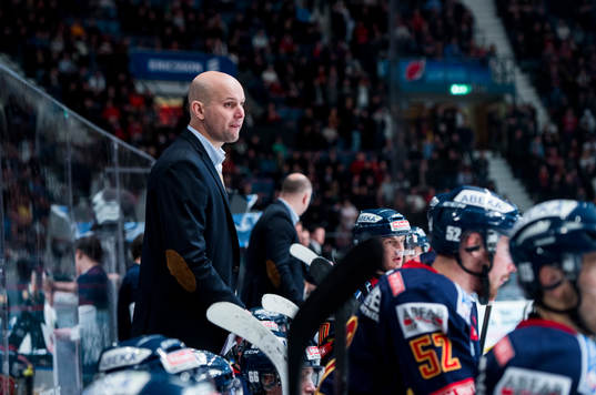 Djurgårdens tränare Tony Zabel