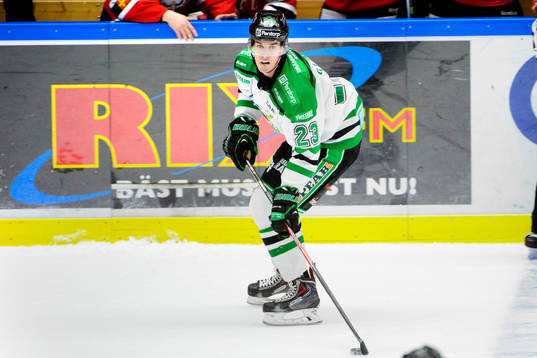 Rögles Daniel Sylwander