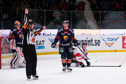 Domare Christoffer Karlsson visar ut Djurgårdens Dustin