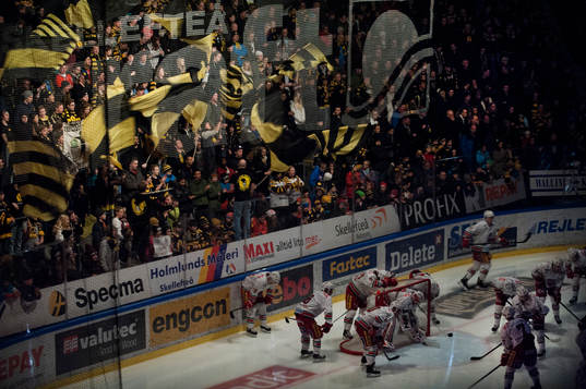 Skellefteå supporters, publikhav med gulsvarta flaggor,