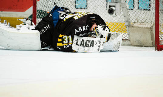 s målvakt Daniel Larsson