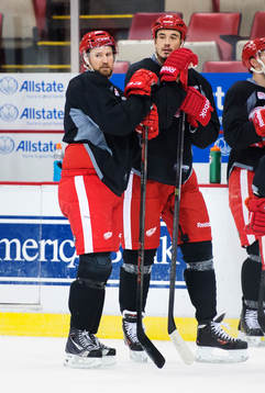 Niklas Kronwall och Jonathan Ericsson