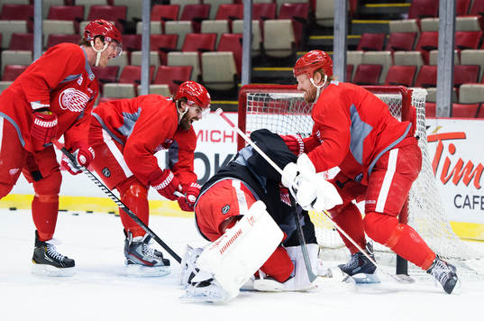 Daniel Cleary, Henrik Zetterberg och Johan Franzén