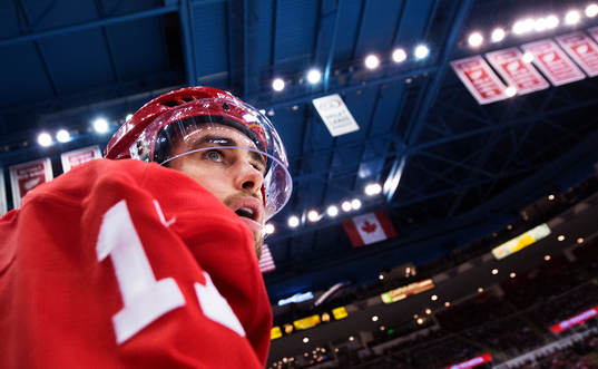 Detroits Patrick Eaves