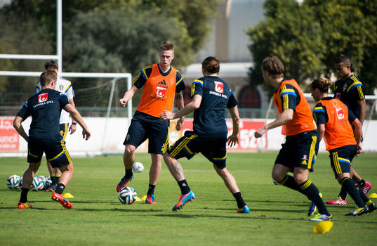Pontus Jansson med boll