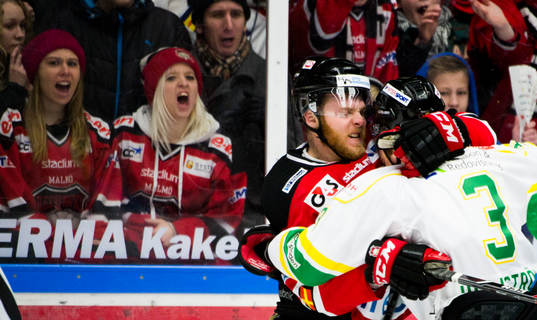 Malmö Redhawks David Liffiton slåss med Björklövens
