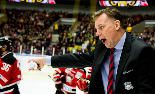 Malmö Redhawks tränare Mats Lusth