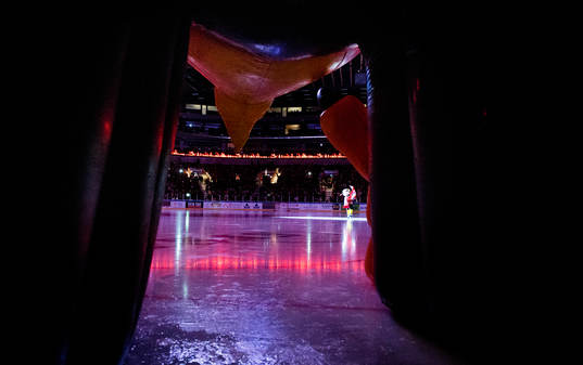 Malmö Redhawks maskoten Hawkan gör entré