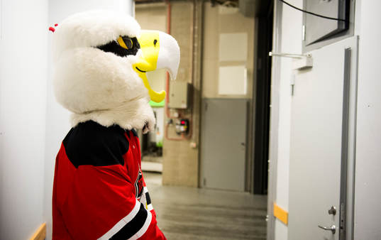 Malmö Redhawks maskoten Hawkan väntar på att få göra
