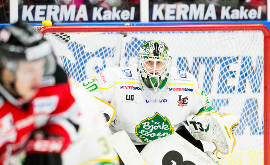 Björklövens målvakt Andrew Raycroft