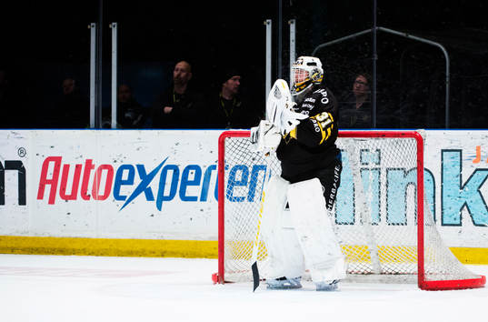 s målvakt Daniel Larsson  deppar