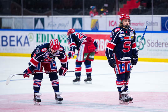 Södertäljes David Pastrnák och William Nylander Altelius