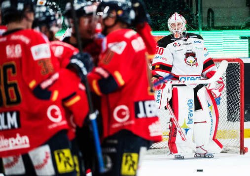 Malmös målvakt Pontus Sjögren  deppar