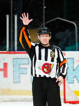 Domare Wolmer Edqvist