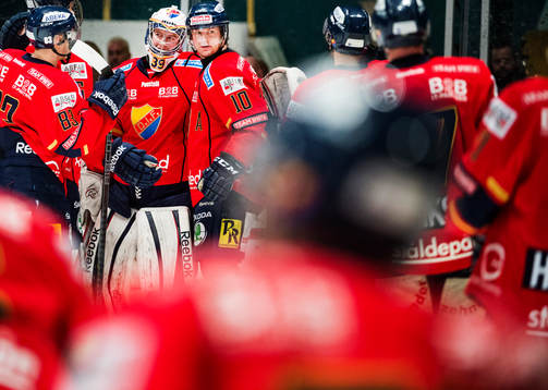 Djurgårdens spelare jublar med målvakt Adam Reideborn
