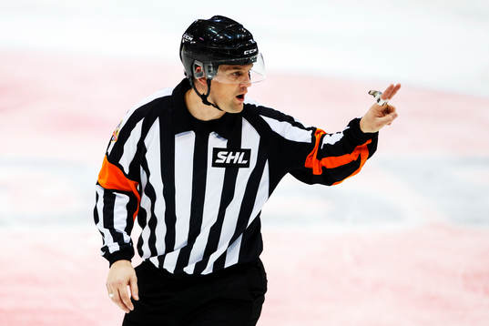 Domare Mikael Holm