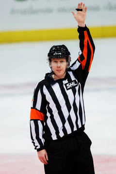 Domare Mikael Holm