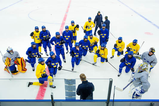 Sveriges spelare är samlade för en genomgång