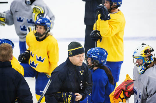 Förbundskapten Niclas Högberg på Damkronornas träning