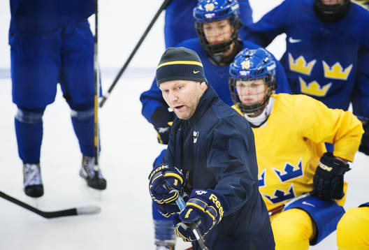 Förbundskapten Niclas Högberg har en genomgång på