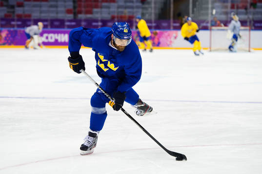 Henrik Zetterberg