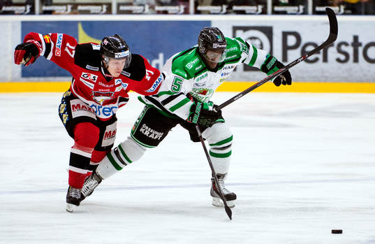 Malmö Redhawks Daniel Viksten och Rögle Eric Persson