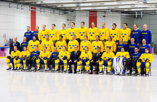De svenska spelarna
