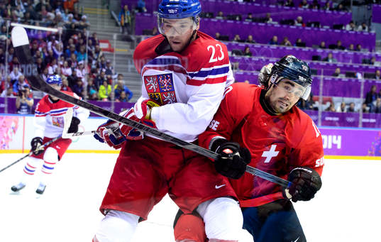 Tjeckiens Zbynek Michalek och Schweiz Andres Ambuhl