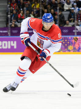 Tjeckiens Martin Hanzal