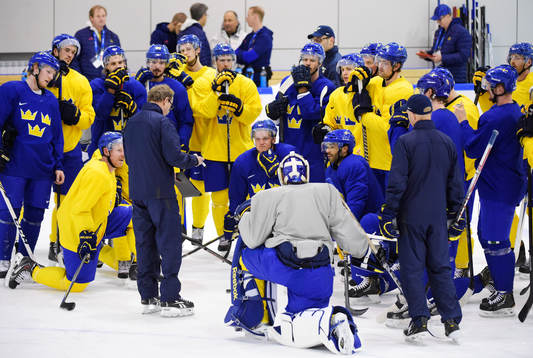 Förbundskapten Pär Mårts har en genomgång på Sveriges