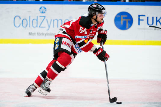 Malmö Redhawks Brian Ihnacak