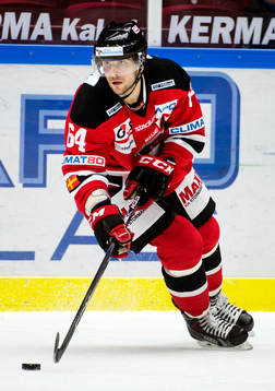 Malmö Redhawks Brian Ihnacak