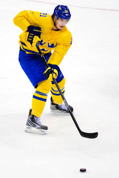 Sveriges Loui Eriksson