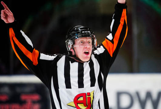Domare Mikael Holm