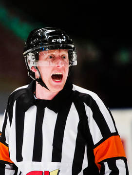 Domare Mikael Holm