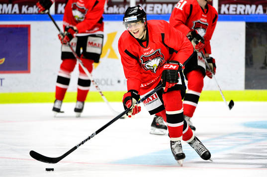 Malmö Redhawks Brian Ihnacak
