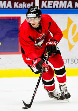 Malmö Redhawks Brian Ihnacak