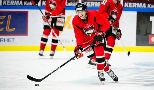 Malmö Redhawks Brian Ihnacak
