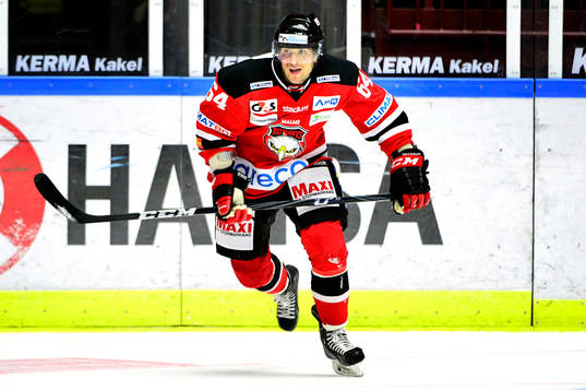 Malmö Redhawks Brian Ihnacak