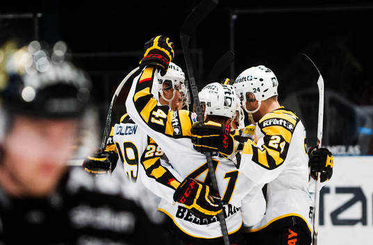 Skellefteås spelare jublar