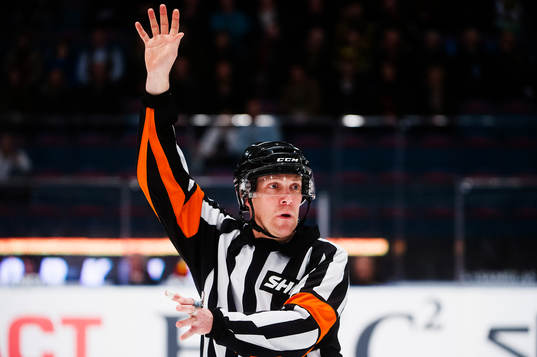 Domare Morgan Johansson