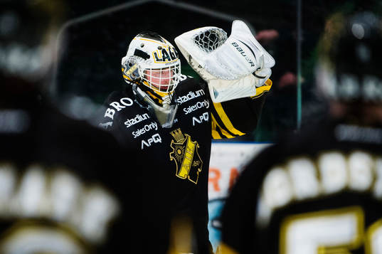 s målvakt Daniel Larsson  jublar