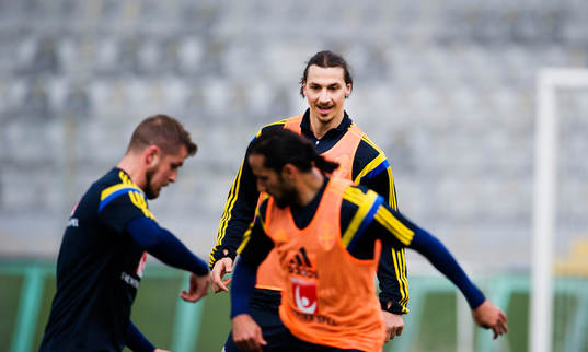 Zlatan Ibrahimovic