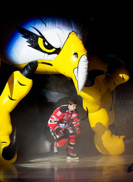 Malmö Redhawks Henrik Hetta gör entré