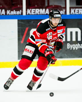 Malmö Redhawks Magnus Häggström