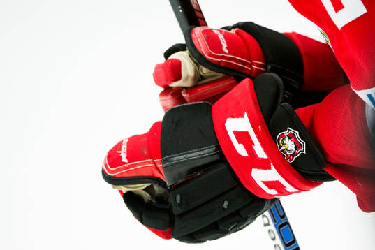 Hockeyhandskar
