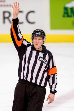 Domare Morgan Johansson