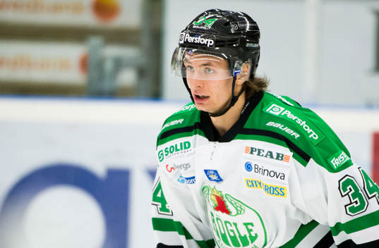 Rögles Daniel Zaar