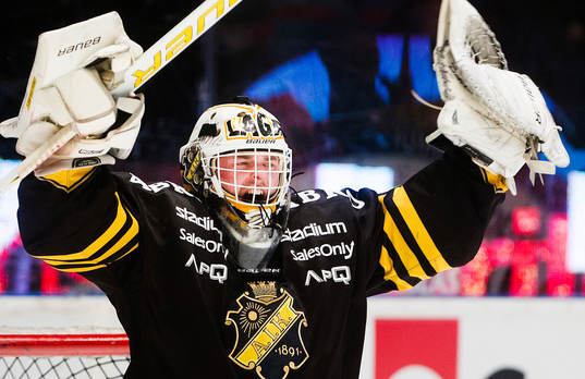 Bläddra bland fler bilder av Ishockey, Kvalserien till SHL, AIK - Djurgården